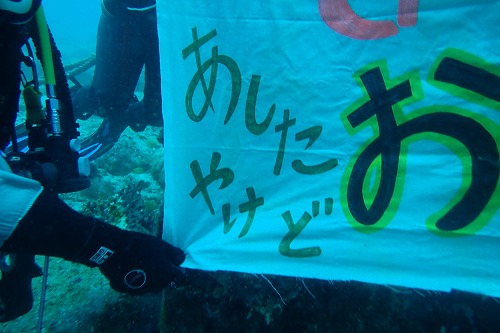 柏島 ダイビング