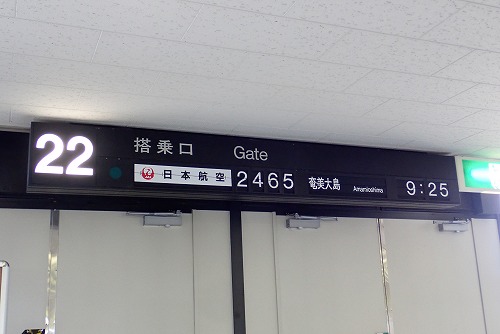 奄美 ダイビング