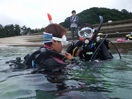 竹野 ダイビング