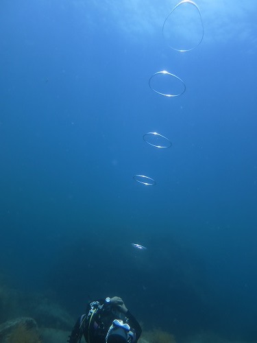 竹野 ダイビング