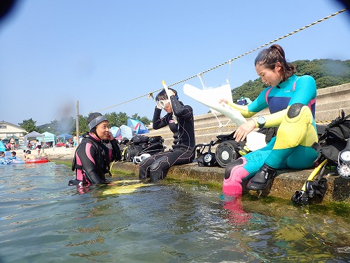 竹野 ダイビング