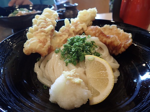 竹野 ダイビング