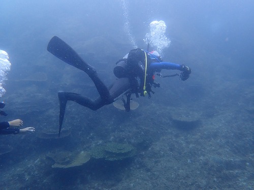 うぐる島 ダイビング