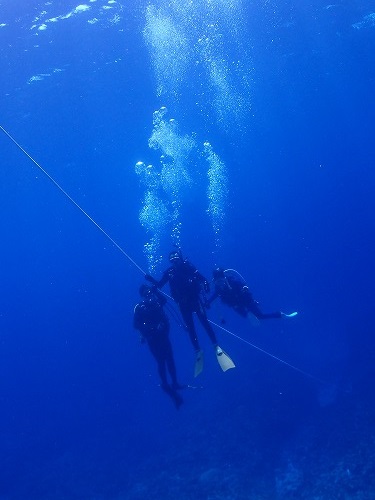 与論島 ダイビング