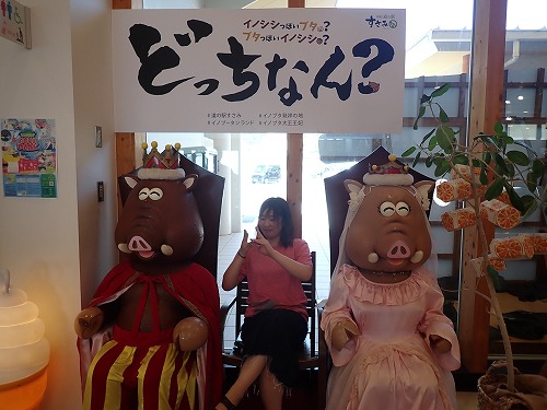 古座 ダイビング