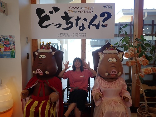 古座 ダイビング