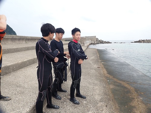 竹野 ダイビング