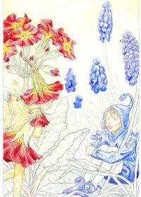 ���β֤�����-2-04