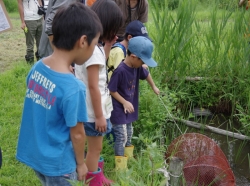 生きもの探偵団