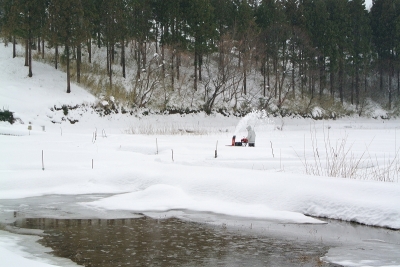 除雪