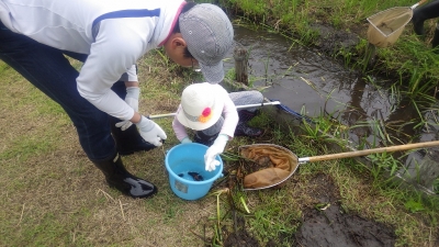 ザリバス