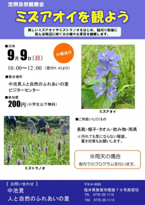 観察会チラシ