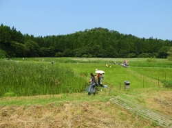 ザリガニとりにGO