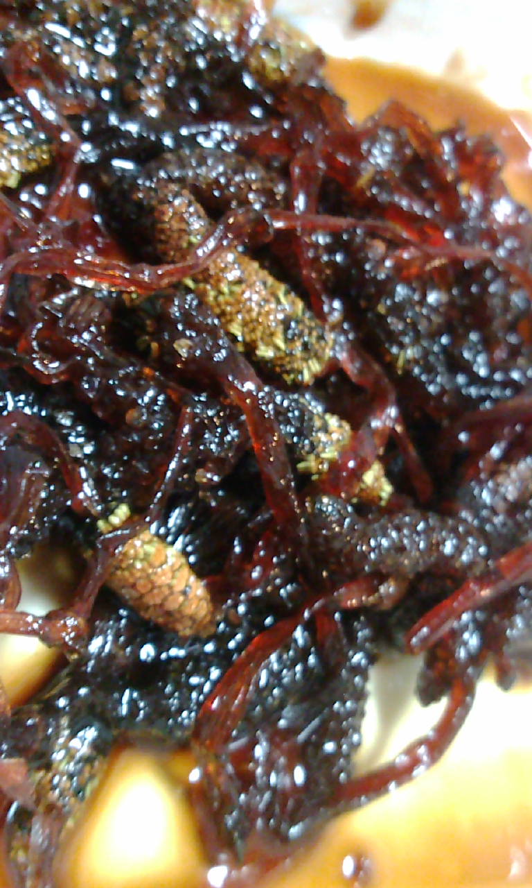つくしの佃煮