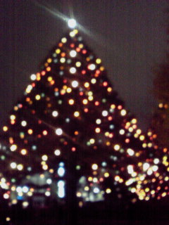 081202_1804~01.jpg