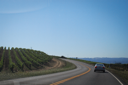 DSC_1730.jpg