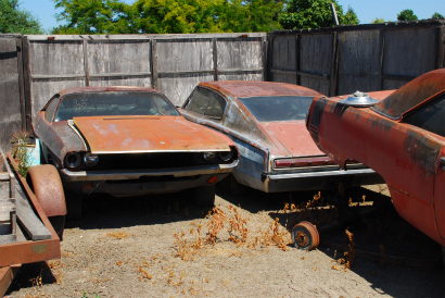 DSC_1659.jpg