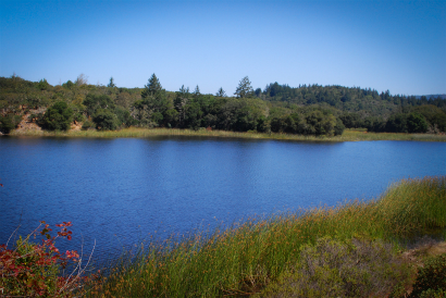 DSC_0008.jpg