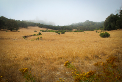 DSC_1765.jpg