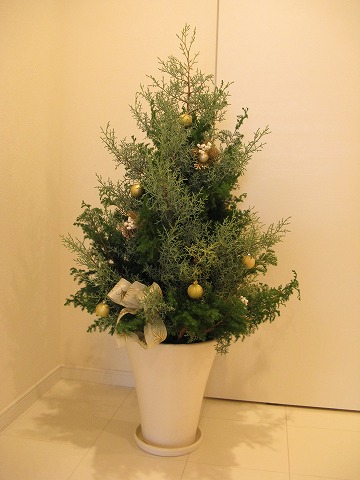 クリスマスツリーお届け ガーデニング Blog Florista Asaki
