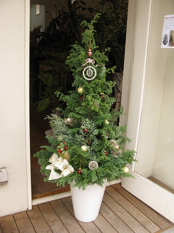 クリスマスツリー リース お歳暮 Blog Florista Asaki