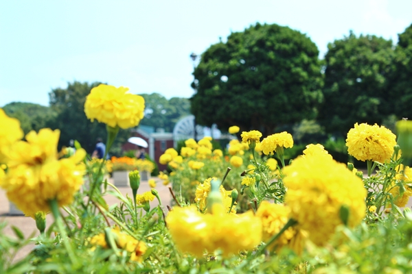 画像 736.jpg