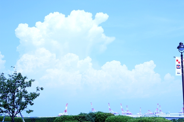 画像 776.jpg