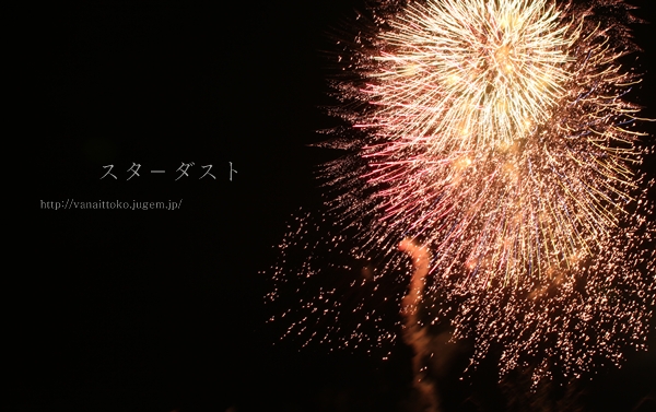 画像 294.jpg
