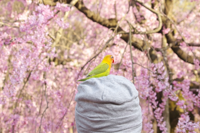 画像 035blog.jpg