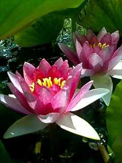 100806_1009~0003.jpg