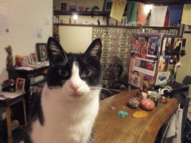 DSCF0277.jpg