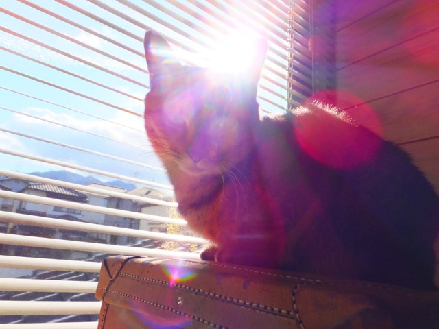DSCF2509.jpg