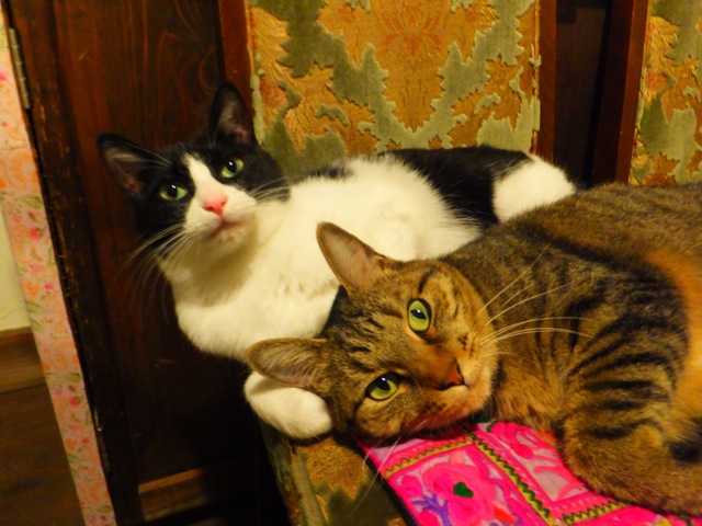 DSCF46040001.jpg