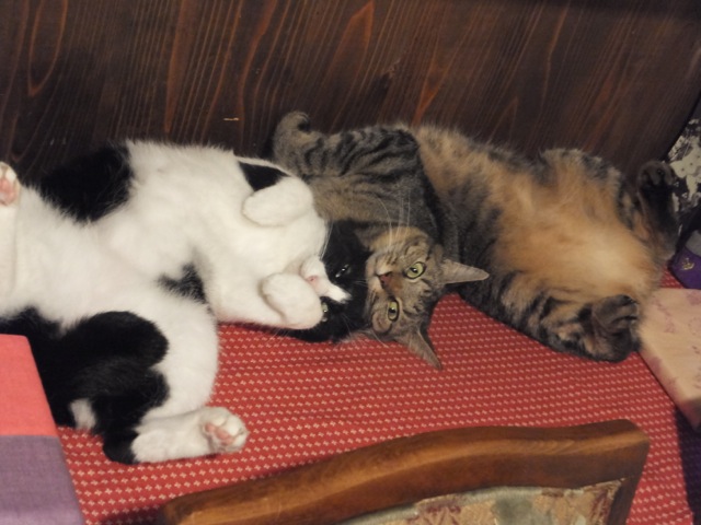 DSCF4895.jpg