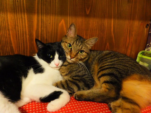 DSCF4865.jpg