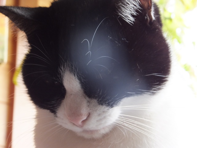 DSCF5341.jpg