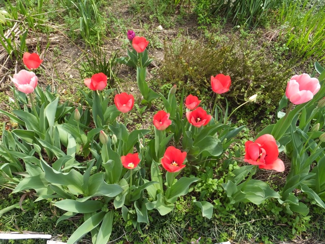 DSCF5967.jpg