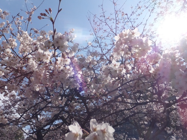 DSCF5863.jpg