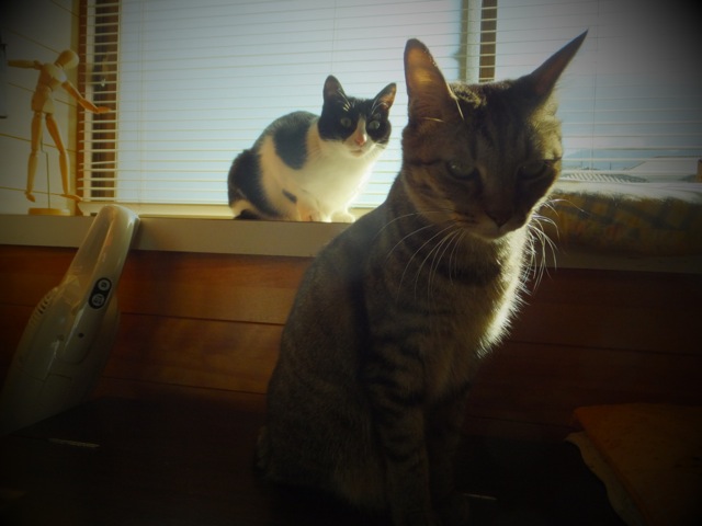 DSCF2504.jpg