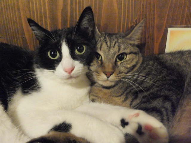 DSCF1501.jpg
