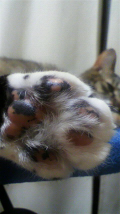 2010050723260000.jpg
