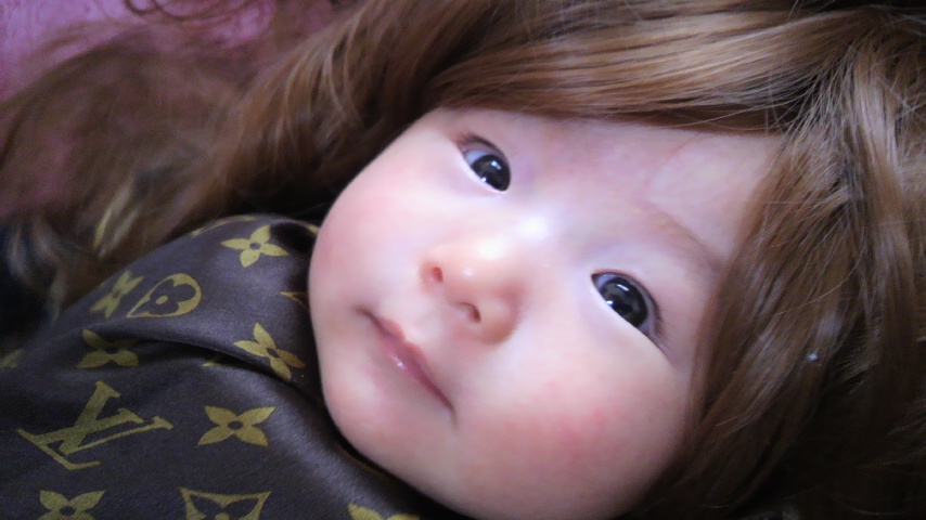 2010112812360000.jpg