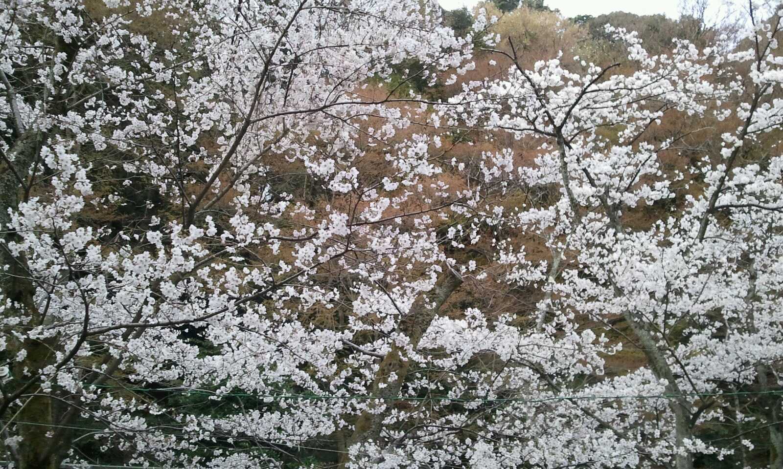 1302424515158.jpg