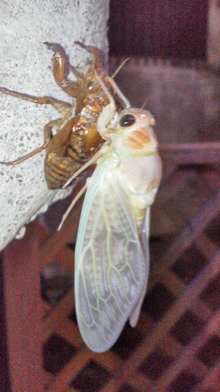 IMG_7821.jpg