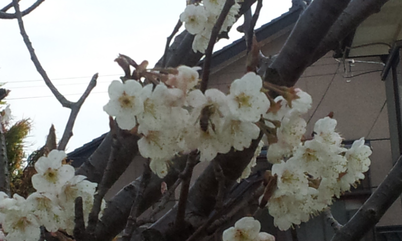2012-03-30 14.58.10.jpg