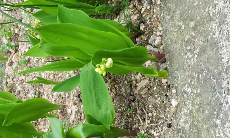 2012-04-30 14.35.51.jpg