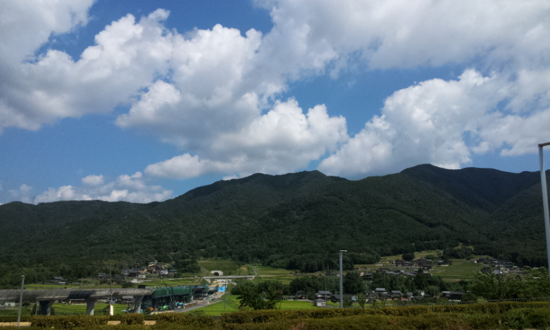 2012-08-07 13.50.48.jpg