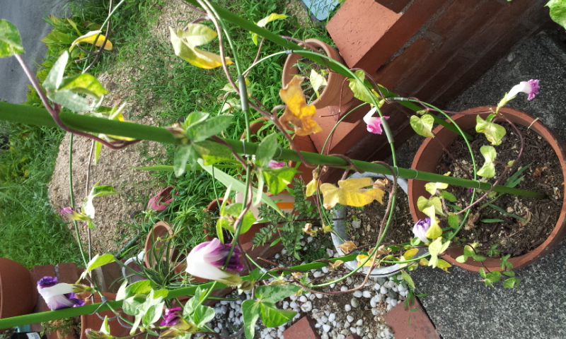 2012-09-03 15.27.27.jpg