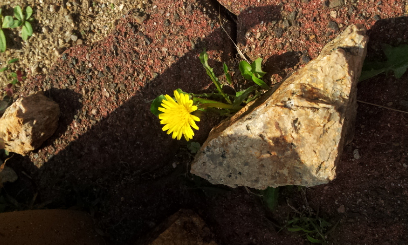 2012-10-21 12.41.34.jpg