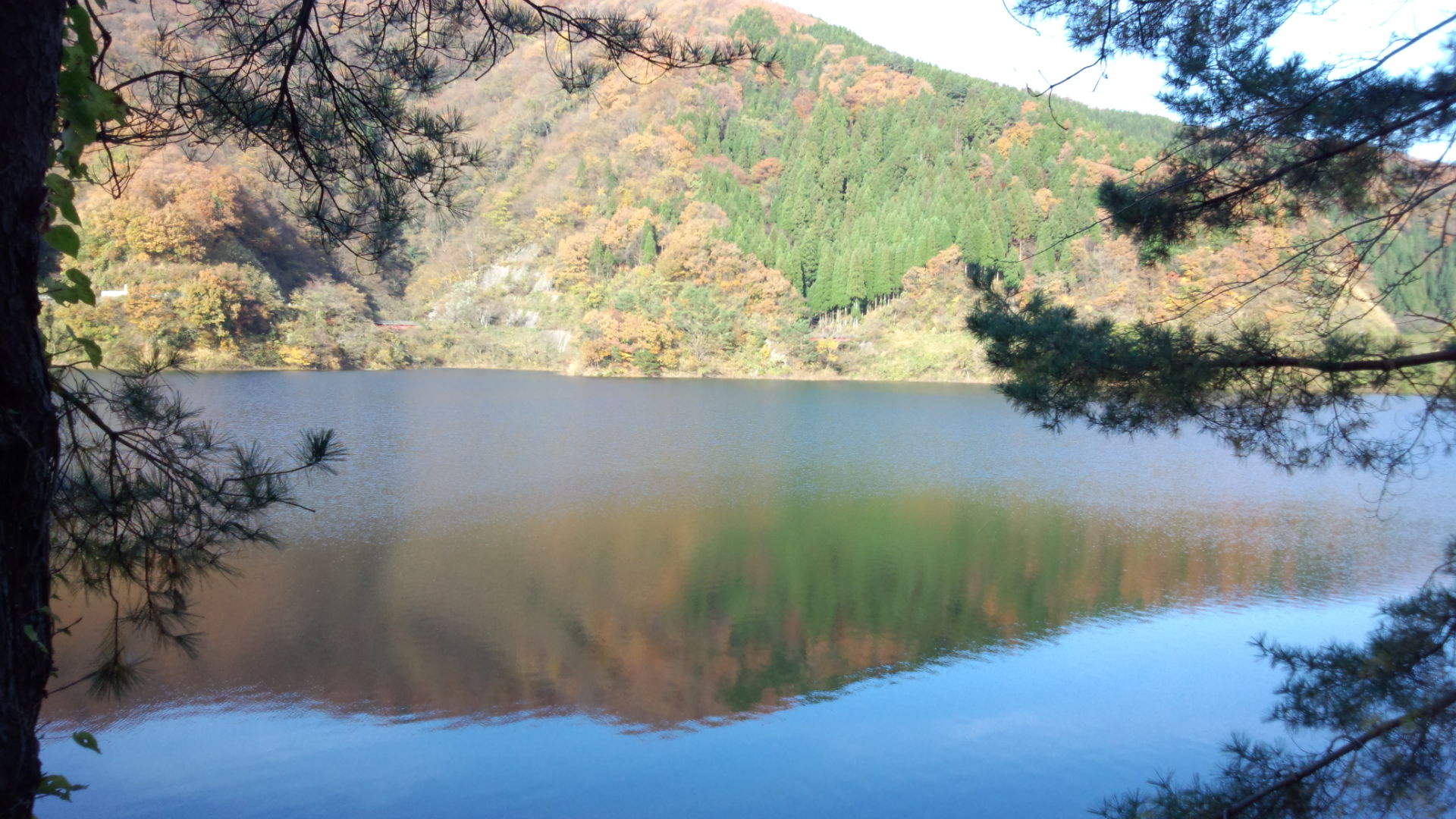 DSC_1342.jpg